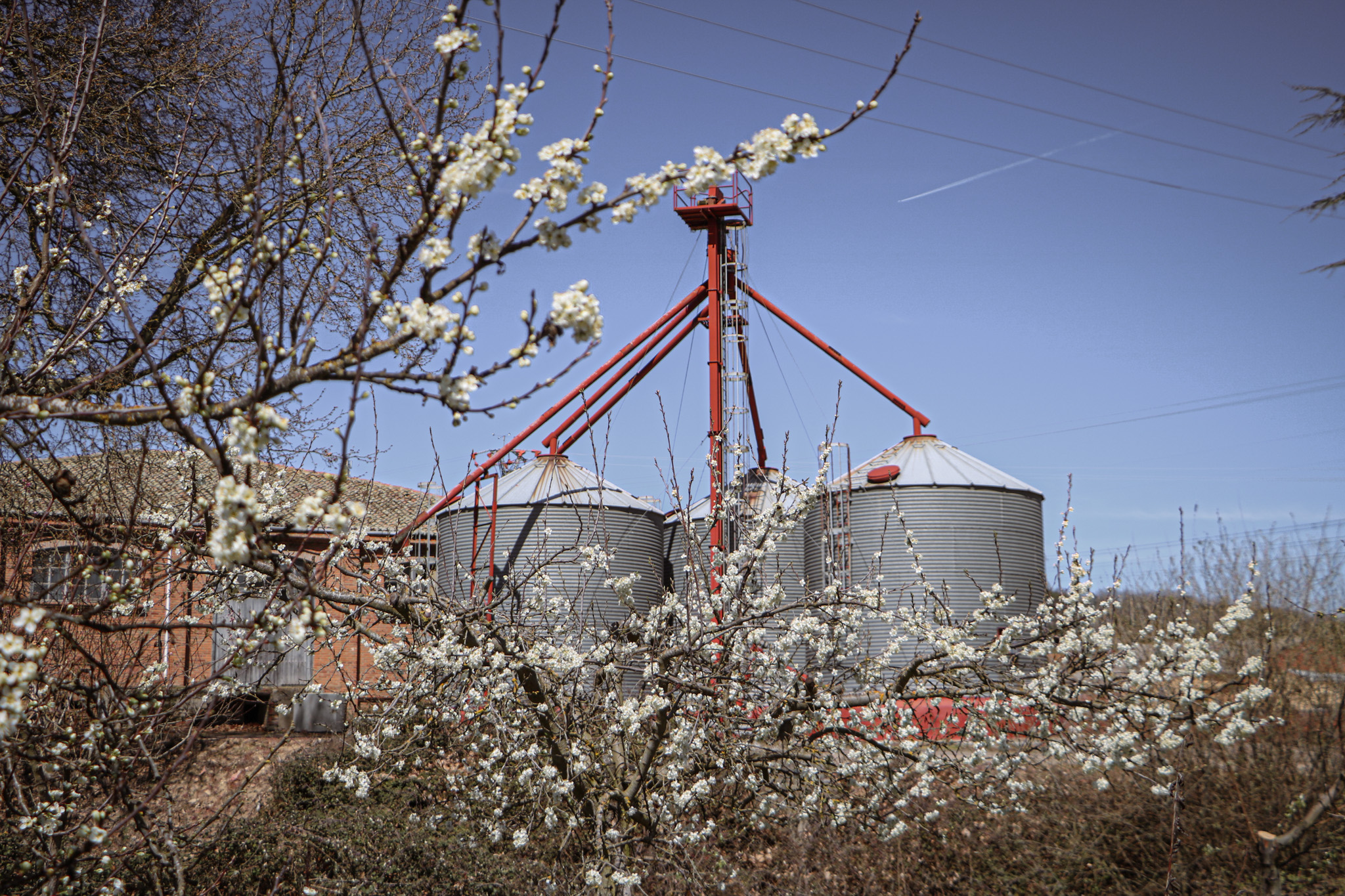 La Fábrica de Harinas — Silos con flores